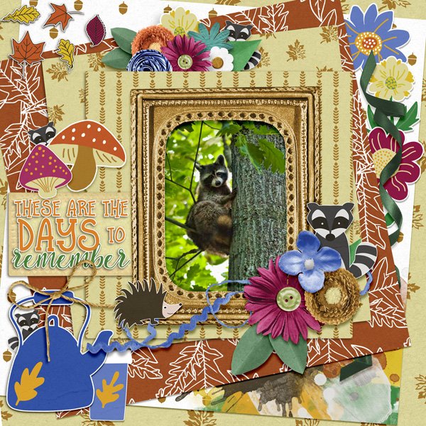 These-Moments-Racoon.jpg