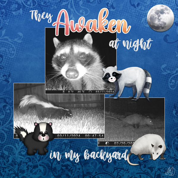 they awaken at night