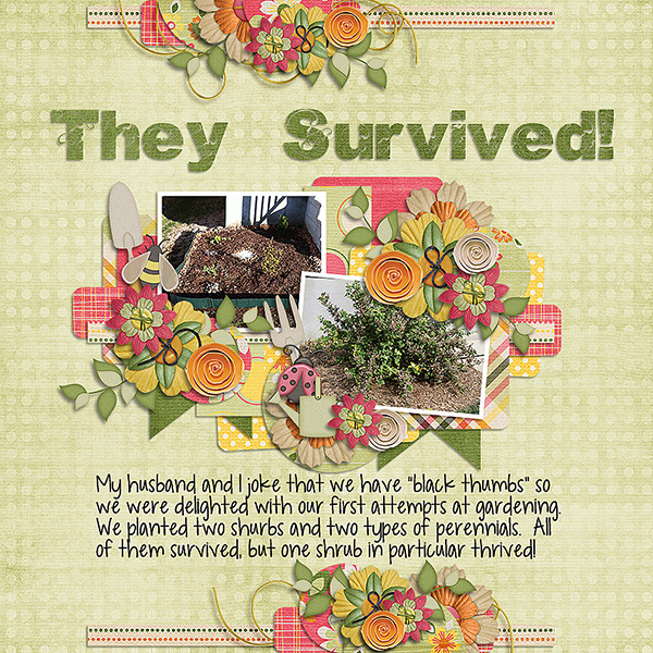 They Survived!