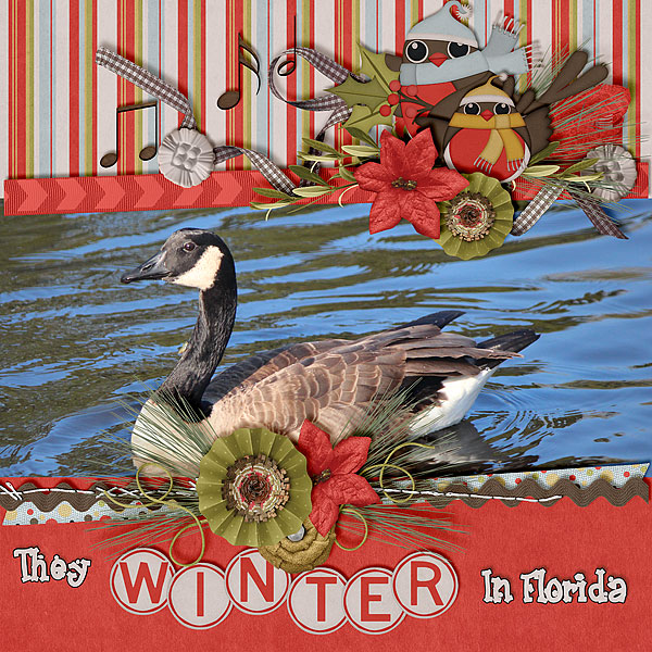 They Winter In Florida