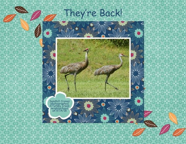 They're Back!