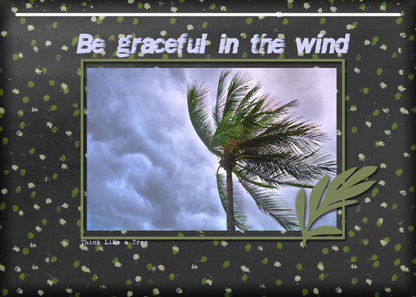 Think Like a Tree