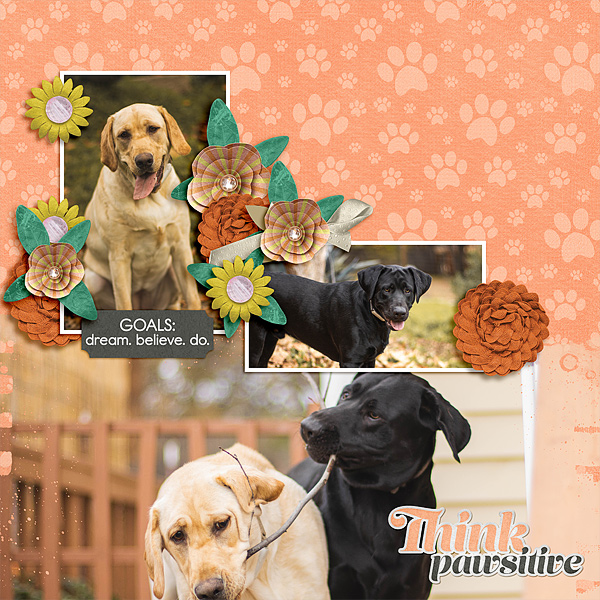 Think Pawsitive