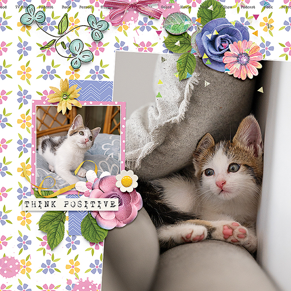 Think Pawsitive