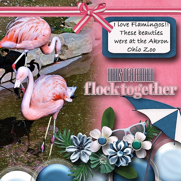 Think Pink