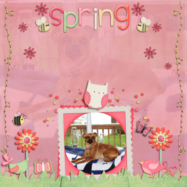 Think Spring