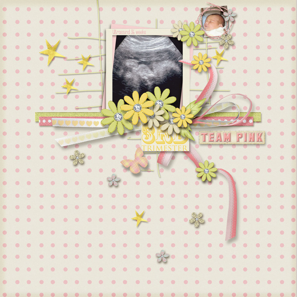 Third Trimester