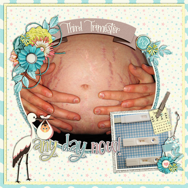 Third Trimester
