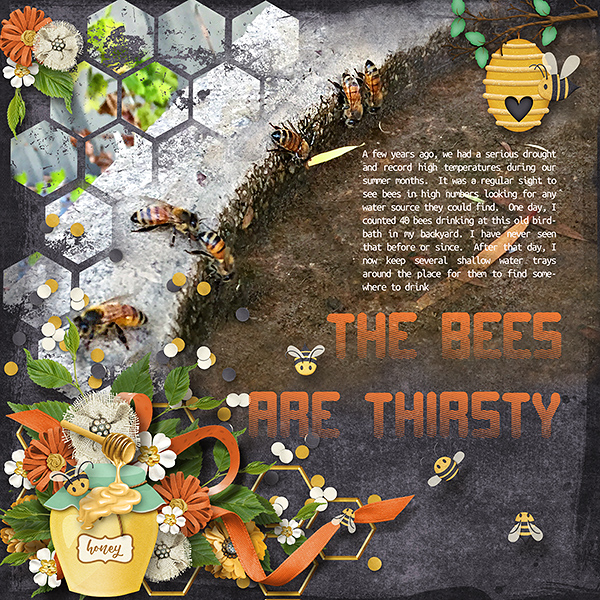 Thirsty Bees