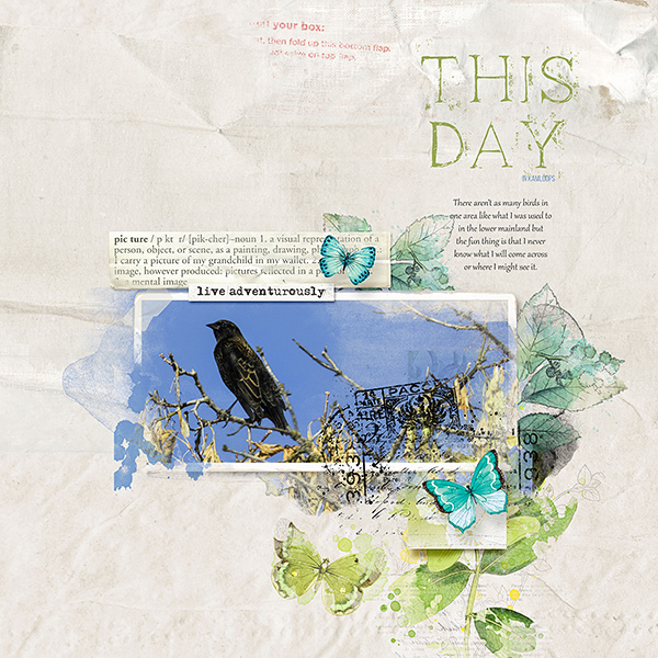 This Day