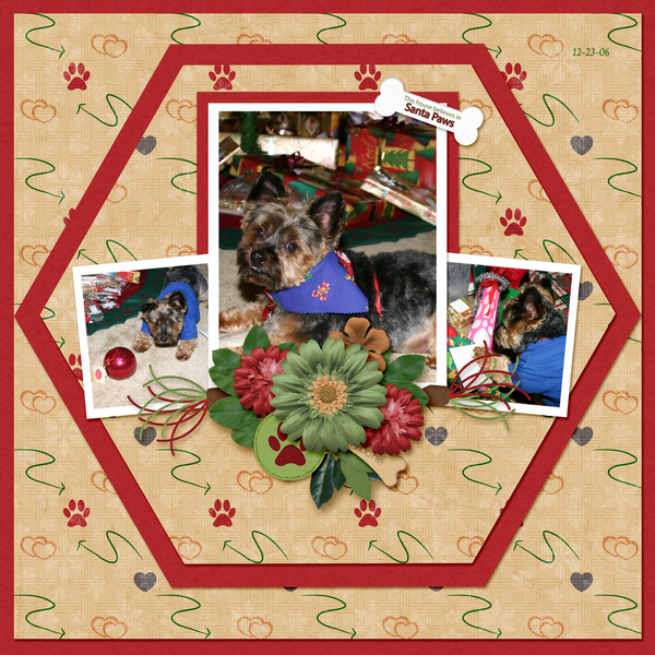 This house believes in Santa Paws