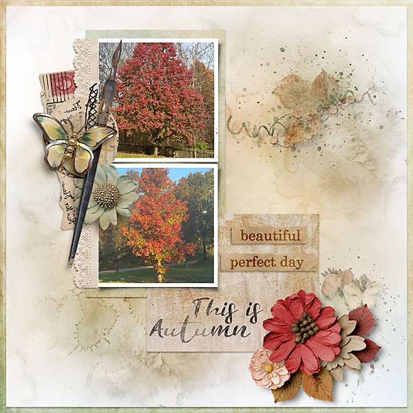 This-Is-Autumn-web600.jpg