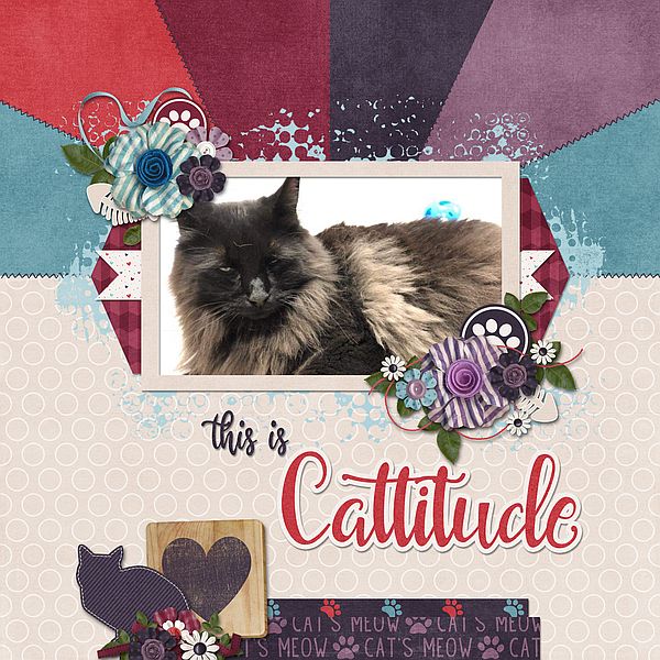 This is Cattitude
