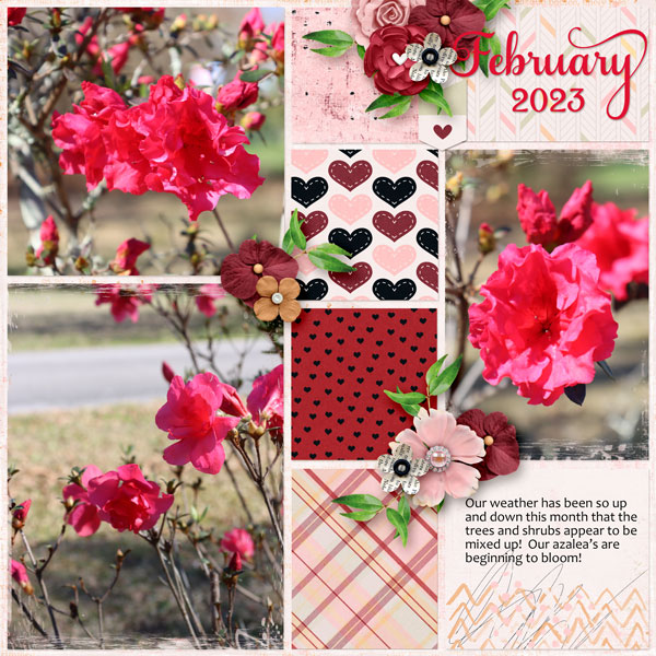 This is February