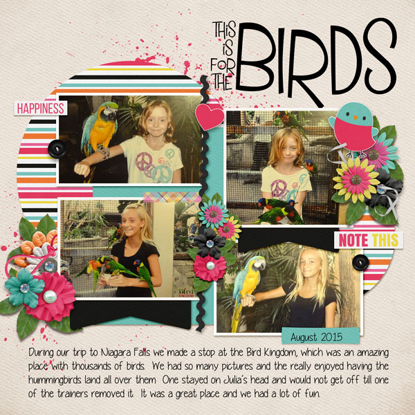This is for the birds