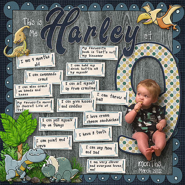 This is Me Harley at 9 months