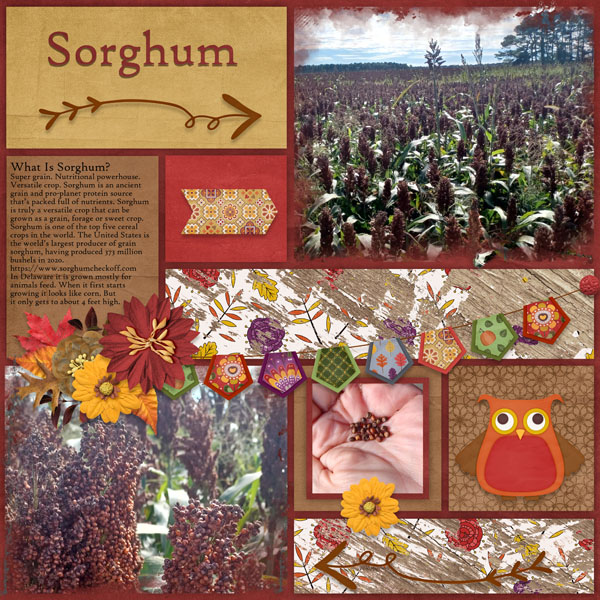 This Is October Temp #2-Miss Fish Corn Maze-Aimee