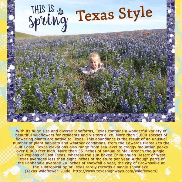 This Is Spring - Texas Style