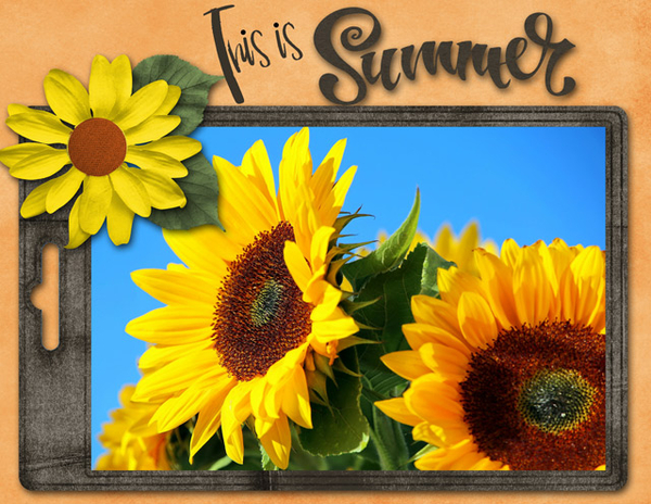 This is Summer