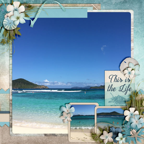 This-Is-The-Life3