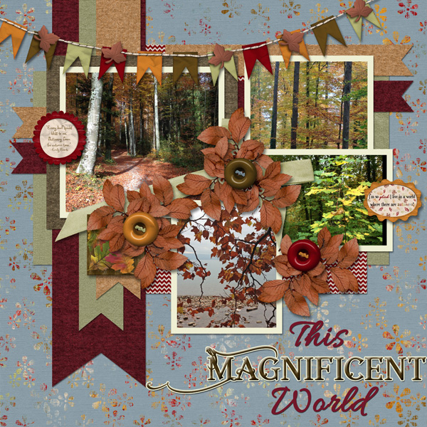 This Magnificent World