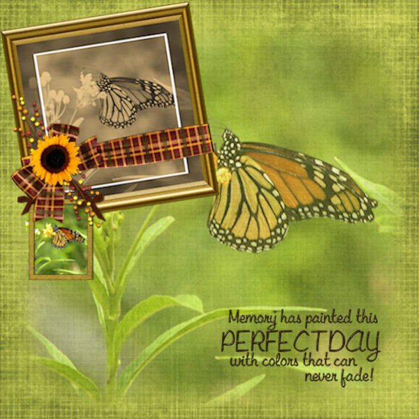 This PERFECT DAY