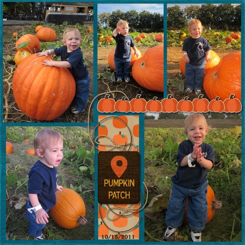 this pumpkin