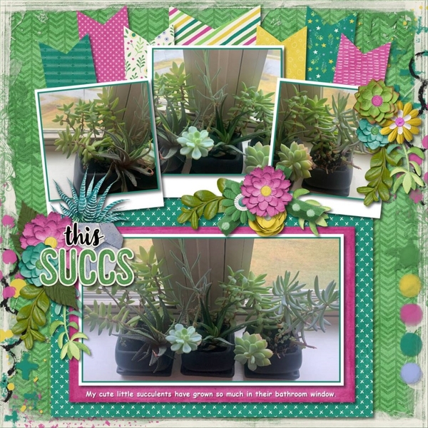 this Succs