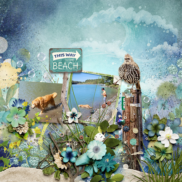 This Way To The Beach
