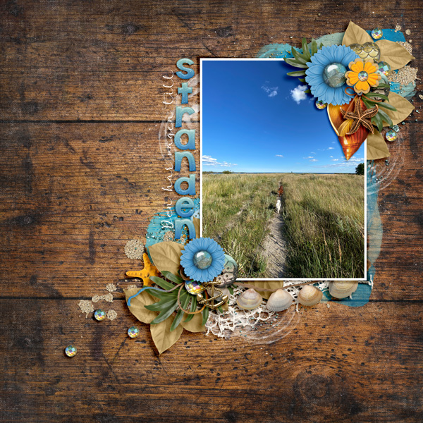 This way to the beach