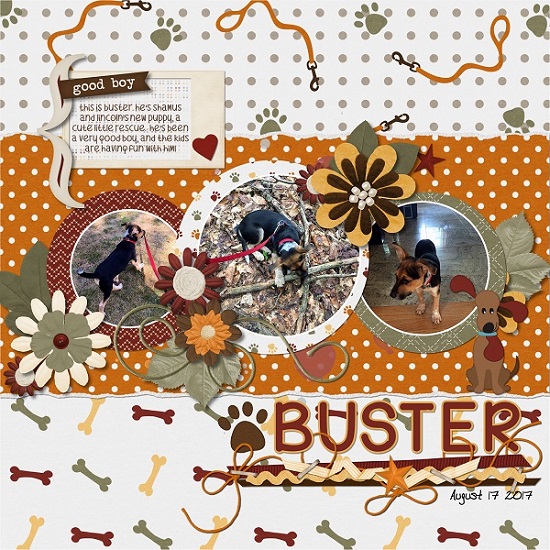 This_is_Buster