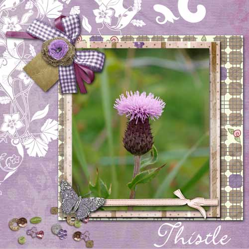 Thistle