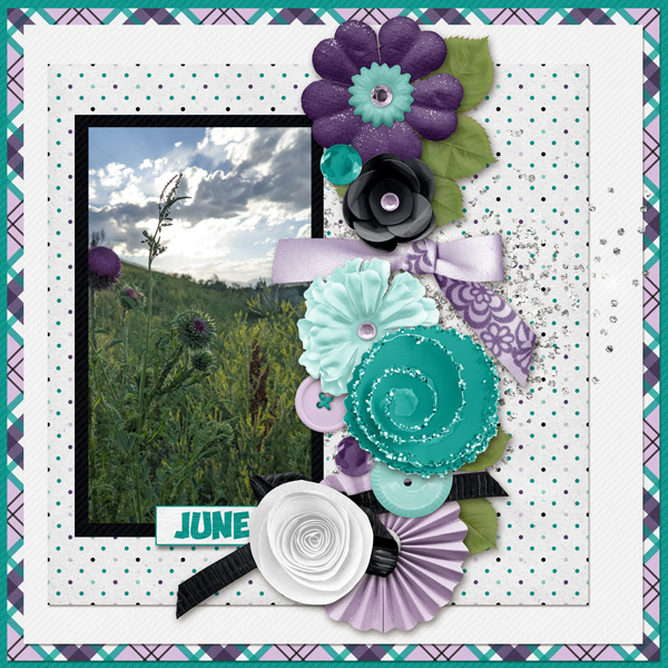 Thistle
