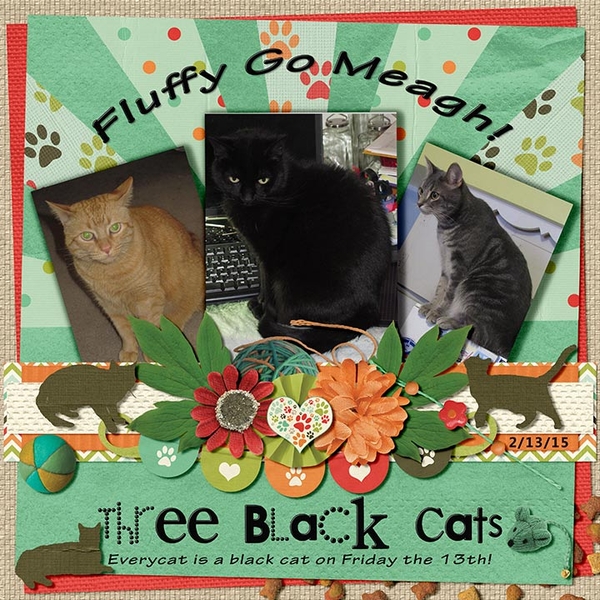 Three Black Cats