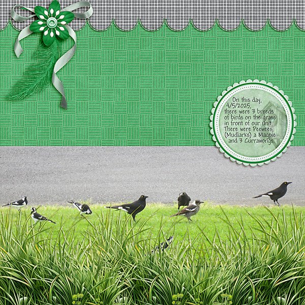 Three Breeds of Birds