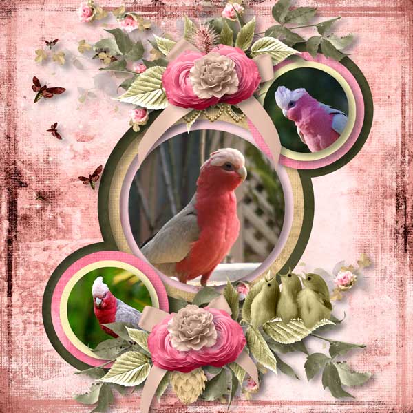 Three Little Birds