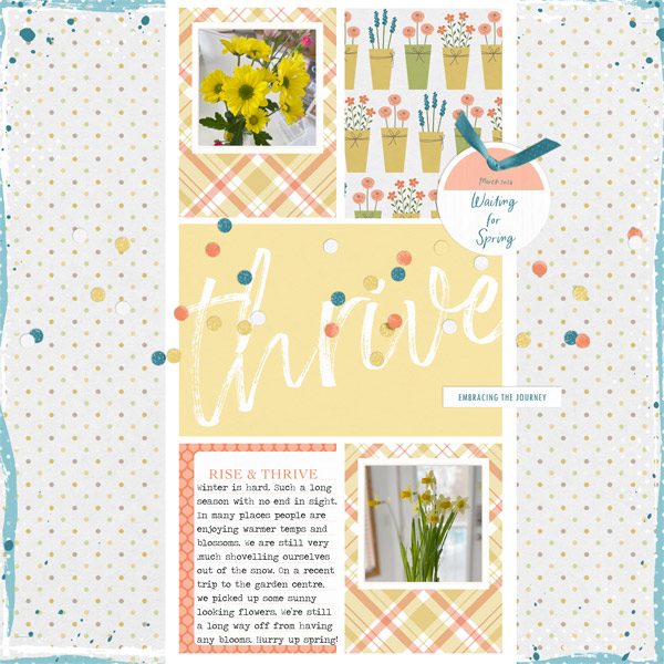 Thrive | J Conlon and Sons