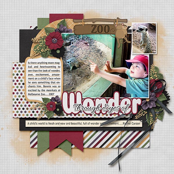 Through Eyes of Wonder