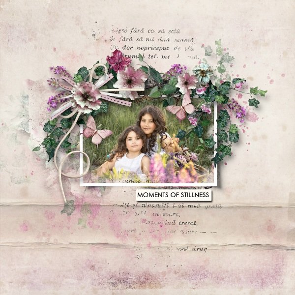 Through The Window Collection by Palvinka Designs
