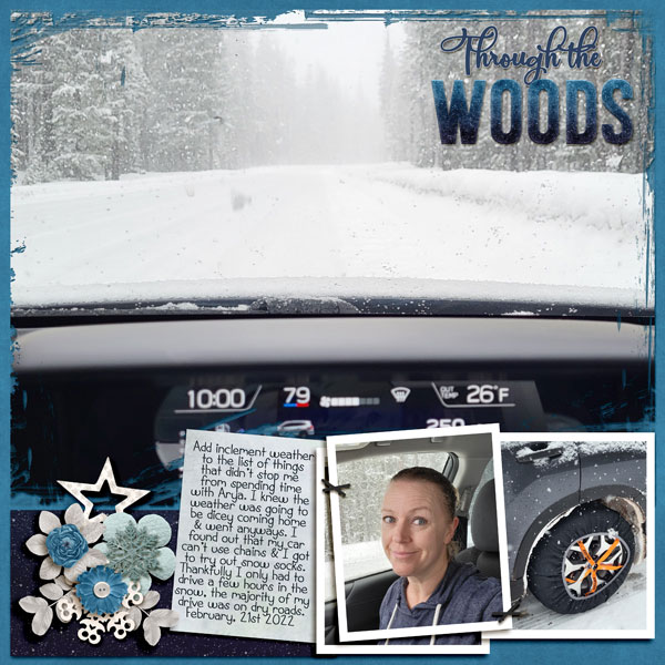 Through the Woods