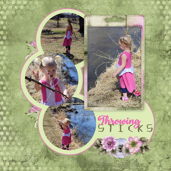 Throwing sticks
