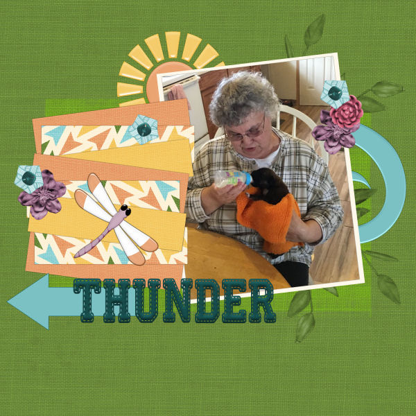 Thunder