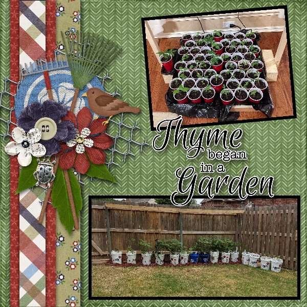 Thyme began in a Garden - Word Art Challenge