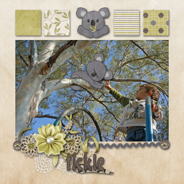 tickle koala