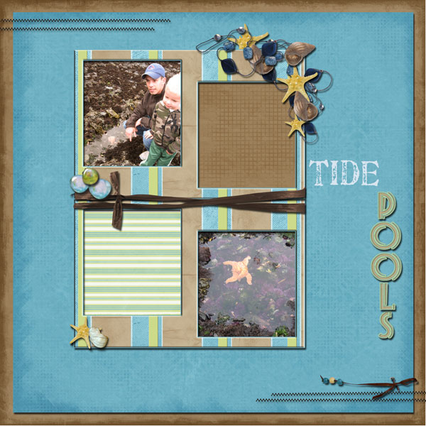 Tide Pools Left