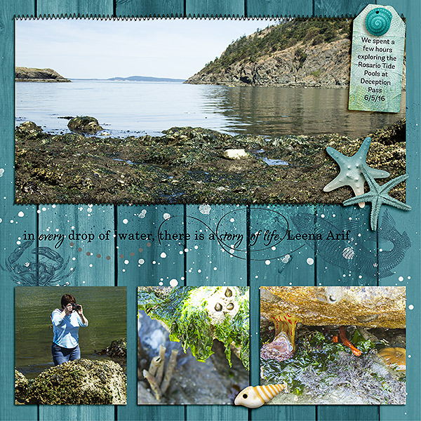 Tide Pools