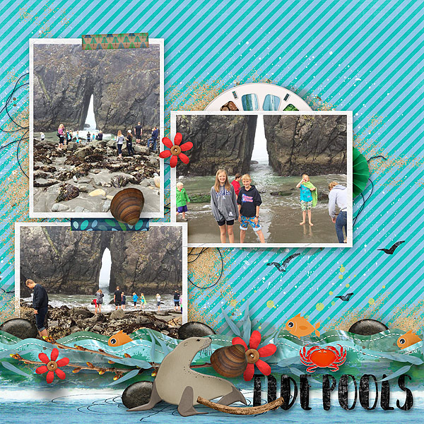 Tide Pools