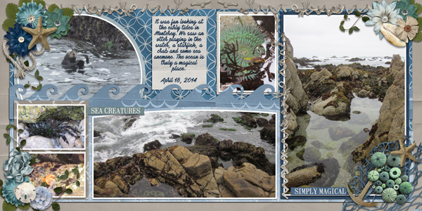 tidepool 2014
