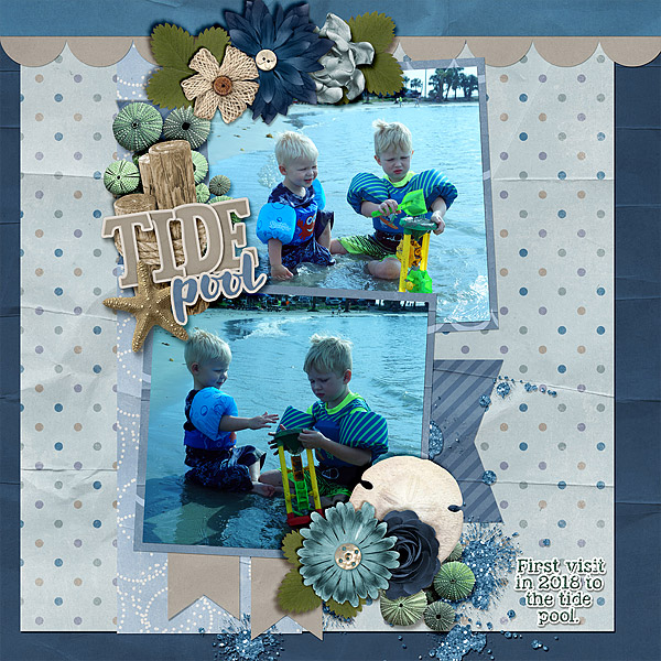 tidepooling-april2018