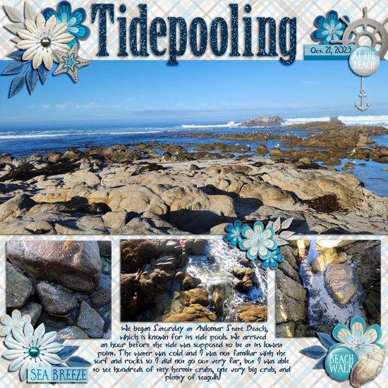 Tidepooling